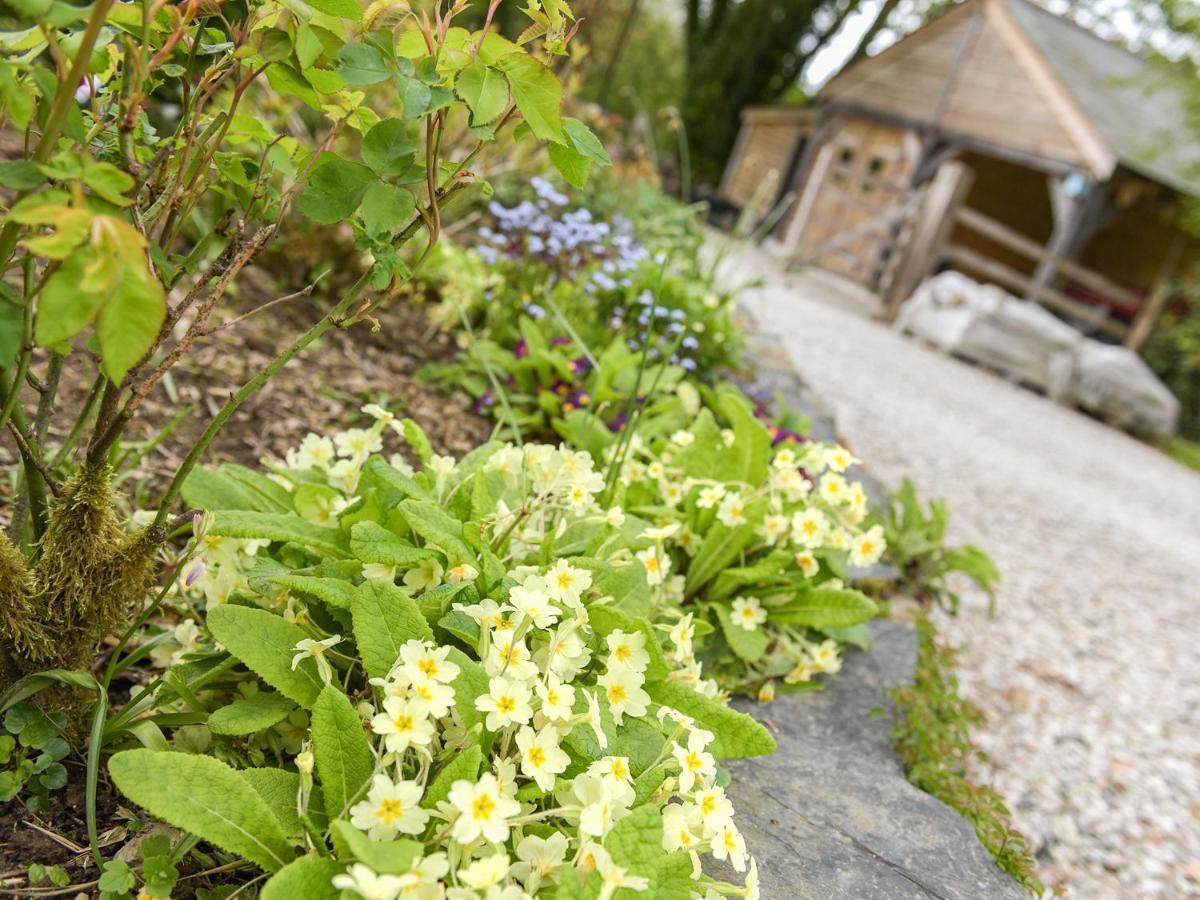 Mimi'S Cottage Liskeard Kültér fotó